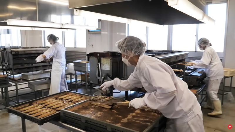 大和養魚株式会社の求人・転職情報