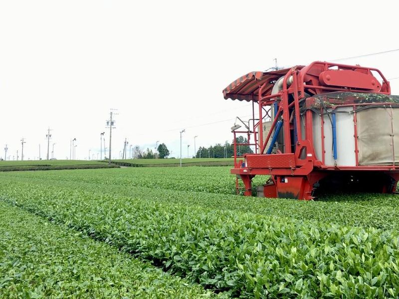 伊勢抹茶株式会社のアルバイト・バイト求人情報-02
