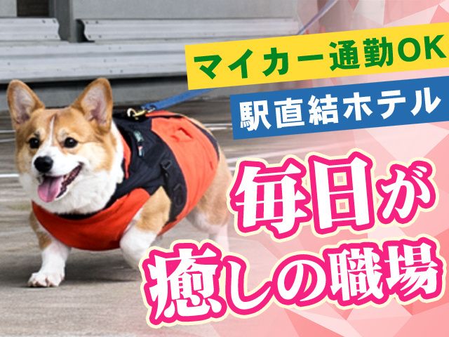 有限会社関空ペットの求人・転職情報