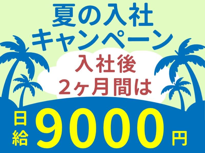 株式会社パルズパートナーの派遣求人情報