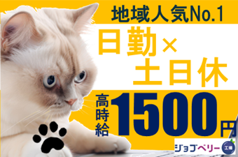 シーデーピージャパン株式会社