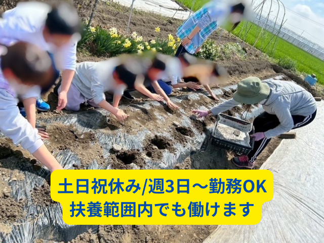 合同会社ルアナのアルバイト・バイト求人情報-01