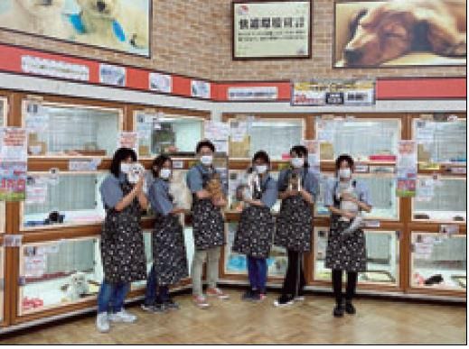 ビバぺッツ板橋前野店の求人1