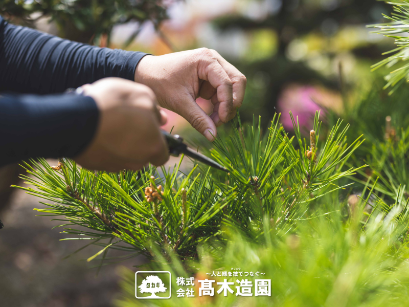 株式会社高木造園