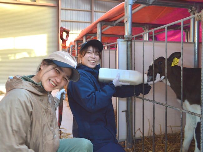 株式会社マジカナファームの求人・転職情報