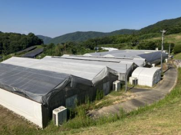 アートグリーン株式会社