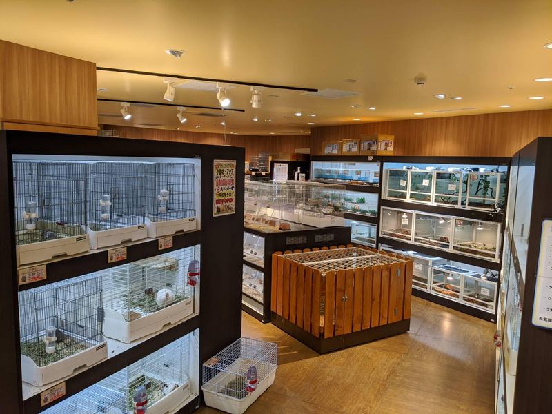 ペットショップAペット西宮中央店のアルバイト・バイト求人情報-03