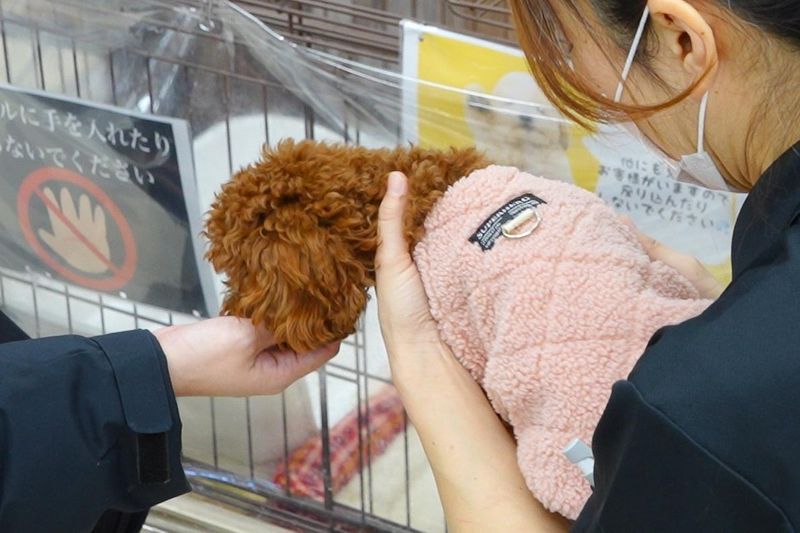 株式会社ＯＮＥＣＡＲＡＴの求人・転職情報