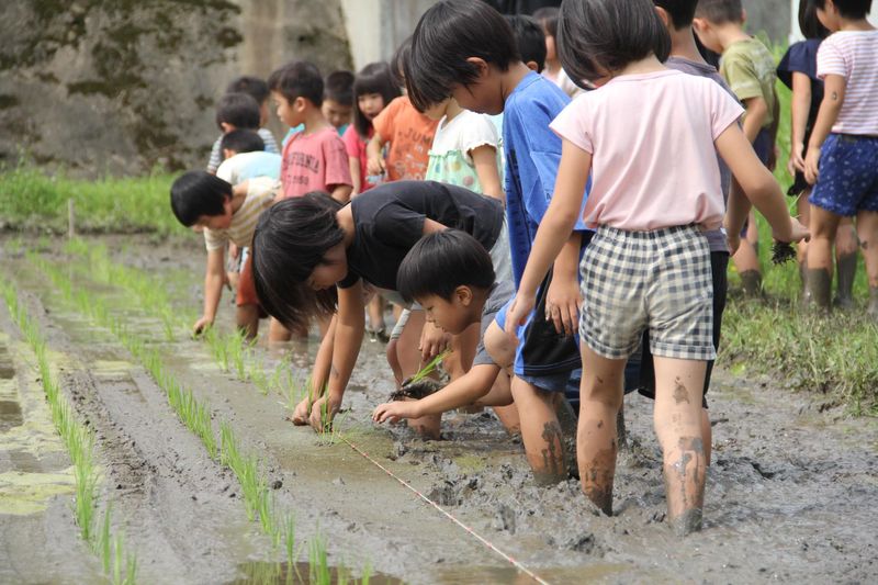 幼保連携型認定こども園　あおき保育園のアルバイト・バイト求人情報-04