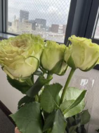 株式会社グリーンネット一陽のアルバイト・バイト求人情報-02