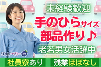 シーデーピージャパン株式会社