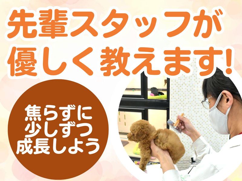 有限会社ワンラブ(本部)のアルバイト・バイト求人情報-04