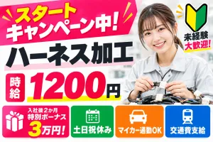 株式会社モリマインドのアルバイト・バイト求人情報