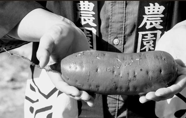 干しいも工房　しんあい農園のアルバイト・バイト求人情報-04