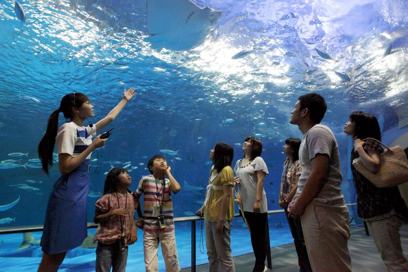 公益財団法人鹿児島市水族館公社の求人・転職情報