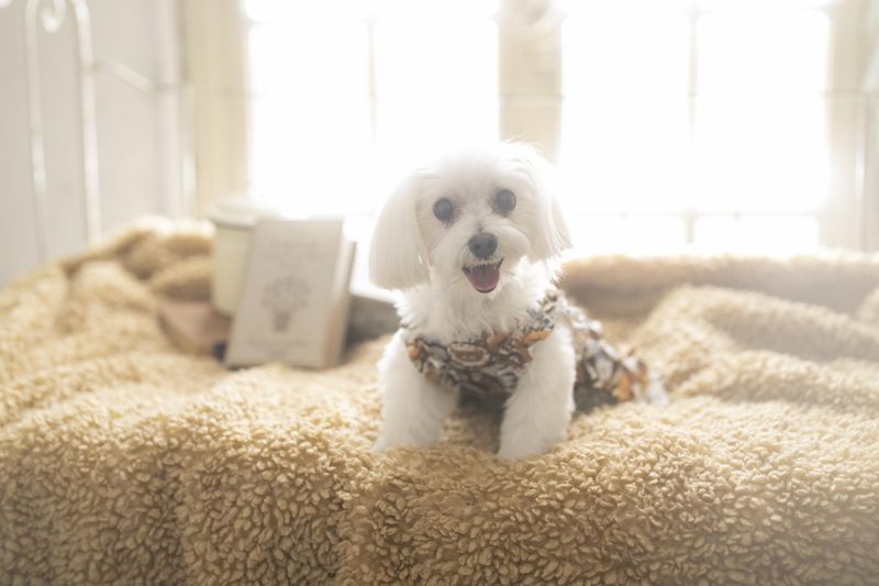 ウェルハイム八王子のアルバイト・バイト求人情報-05