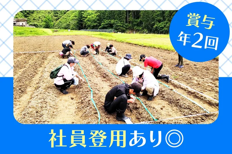 このこのアート　太秦教室　<放課後等デイサービス>のアルバイト・バイト求人情報