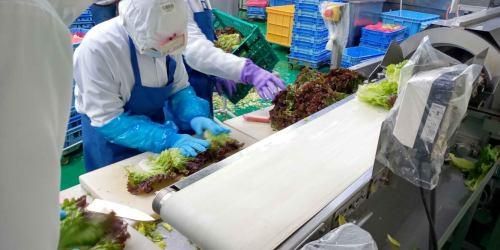 株式会社北燦食品のアルバイト・バイト求人情報-03
