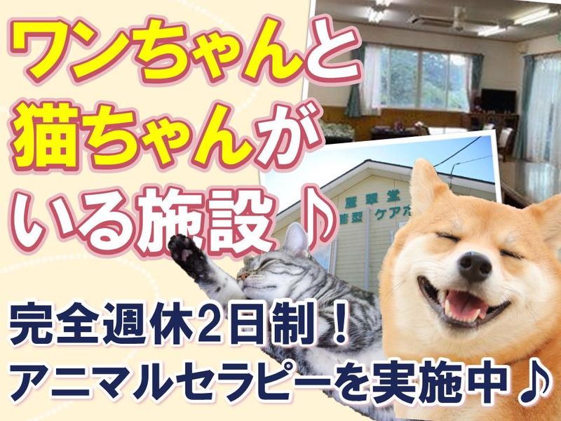 麗翠堂多機能型ケアホーム(有限会社ワイオハ)のアルバイト・バイト求人情報-11