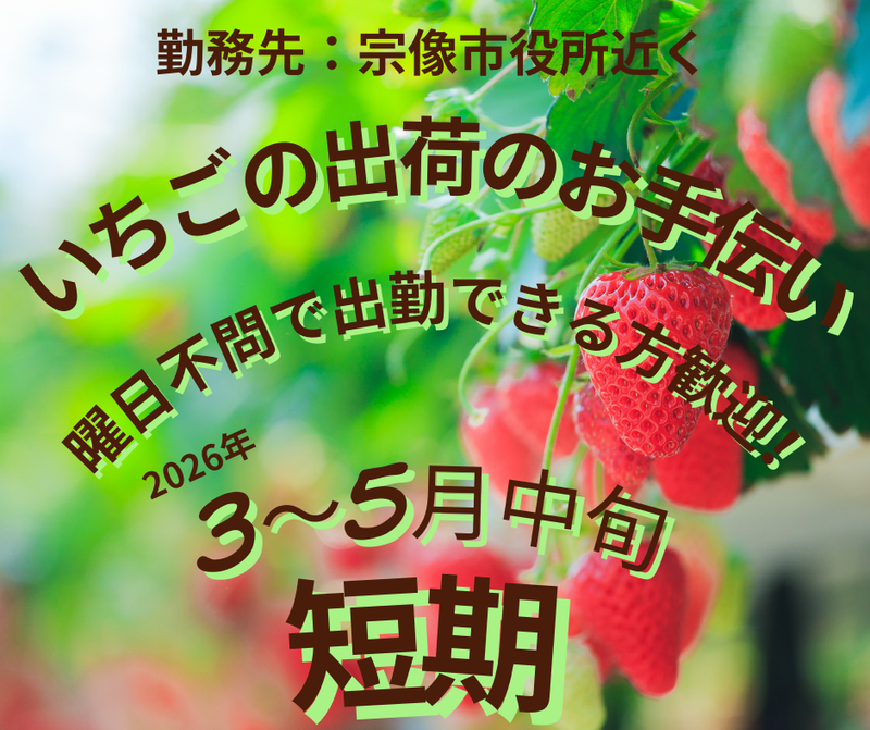 サンエイシステム株式会社