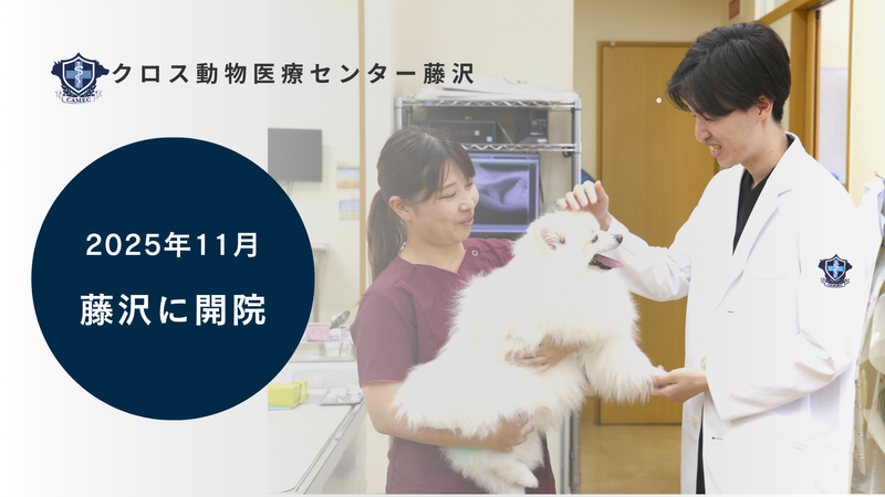 株式会社361の求人・転職情報