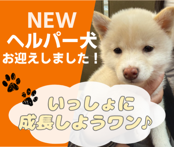 有限会社　ニコニコ介護センターの求人・転職情報