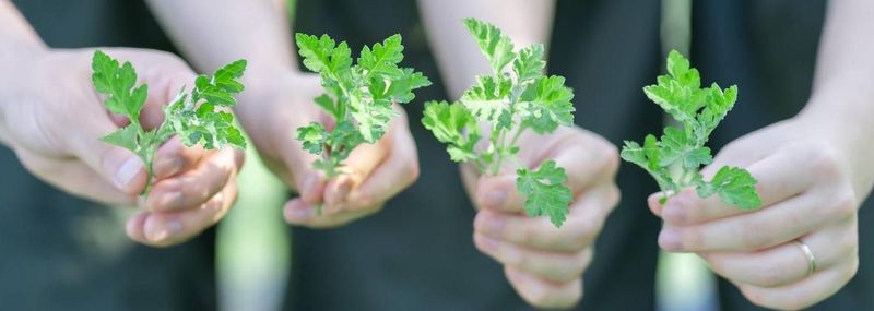 訪問看護リハビリステーションよもぎのアルバイト・バイト求人情報-02