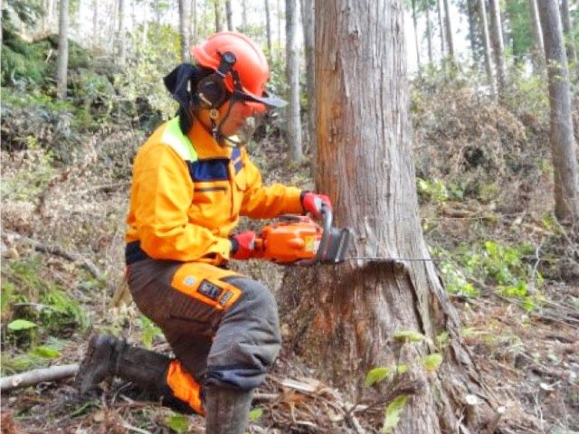 有限会社 田部林業の求人情報