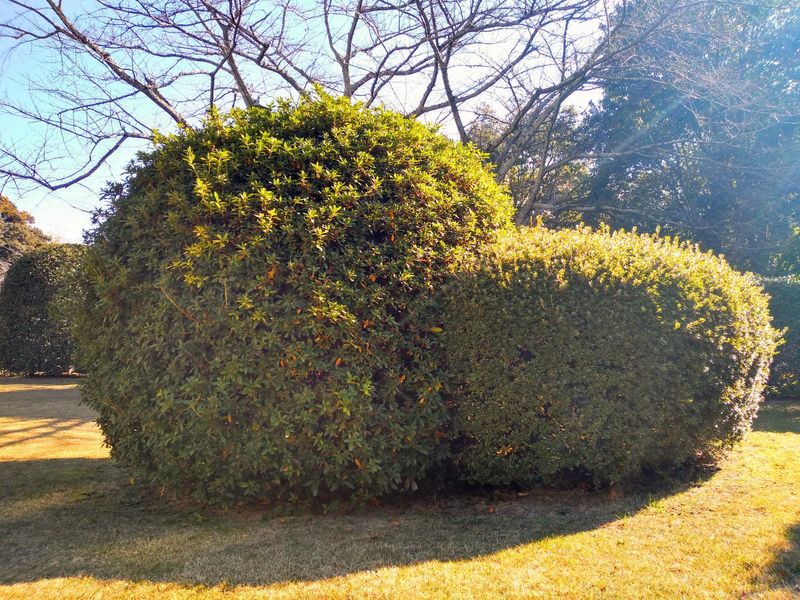 株式会社田中造園の求人・転職情報