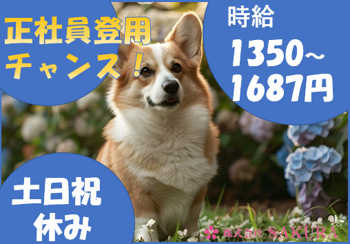 (株)SAKURA　松原市立部(派遣先)