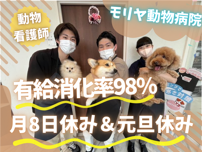 モリヤ動物病院の求人・転職情報
