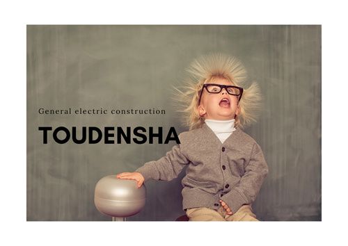 株式会社 トウデンシャの求人・転職情報