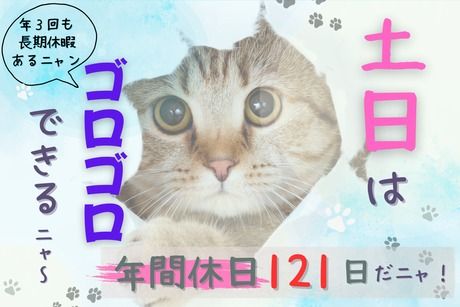株式会社ヒューマンアイズ　岡崎統括事業所のアルバイト・バイト求人情報-02