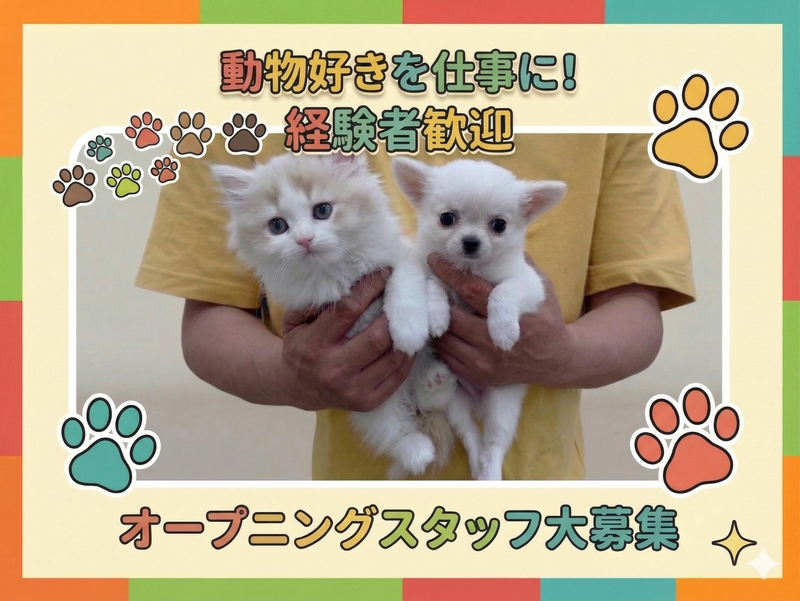 有限会社ユーフォリアの求人・転職情報