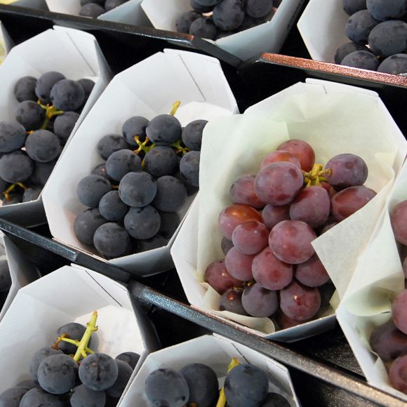 農事組合法人三良坂ピオーネ生産組合の求人・転職情報