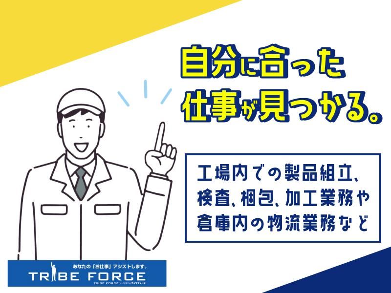 株式会社トライブフォースの求人情報