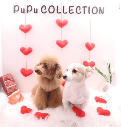 株式会社スカイブリッジの求人・転職情報