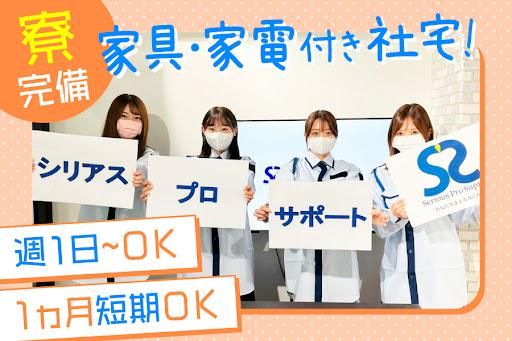 株式会社serious pro support/成田空港エリアのアルバイト・バイト求人情報-02
