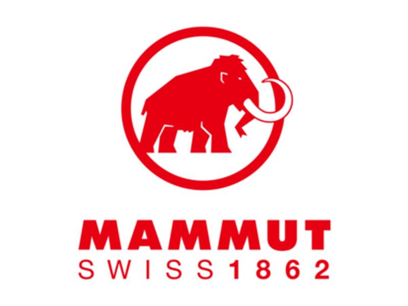 株式会社サーズの求人・転職情報