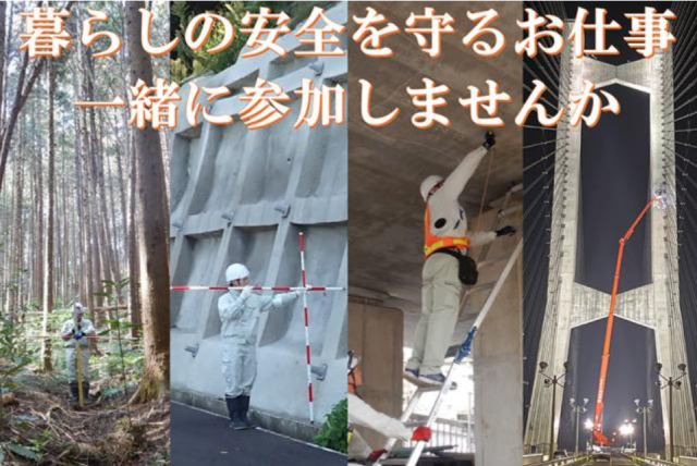 伸栄開発株式会社の求人・転職情報