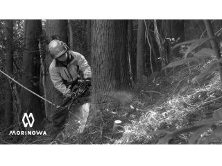 株式会社MORINOWAの求人・転職情報