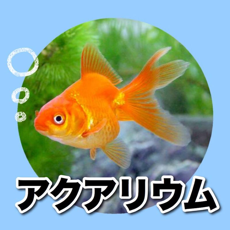 ペットショップAペット枚方店のアルバイト・バイト求人情報-02