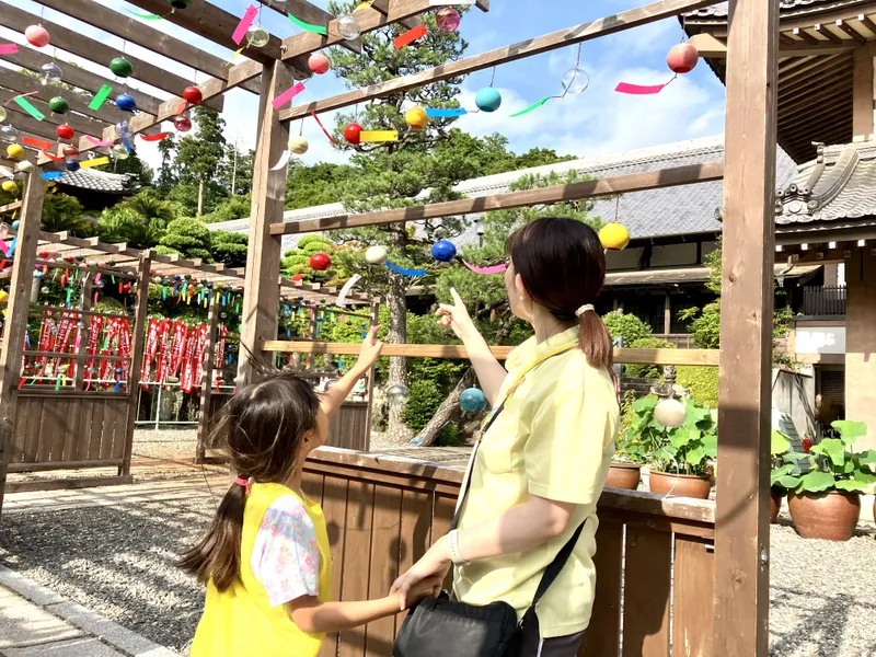 タップ株式会社の求人・転職情報
