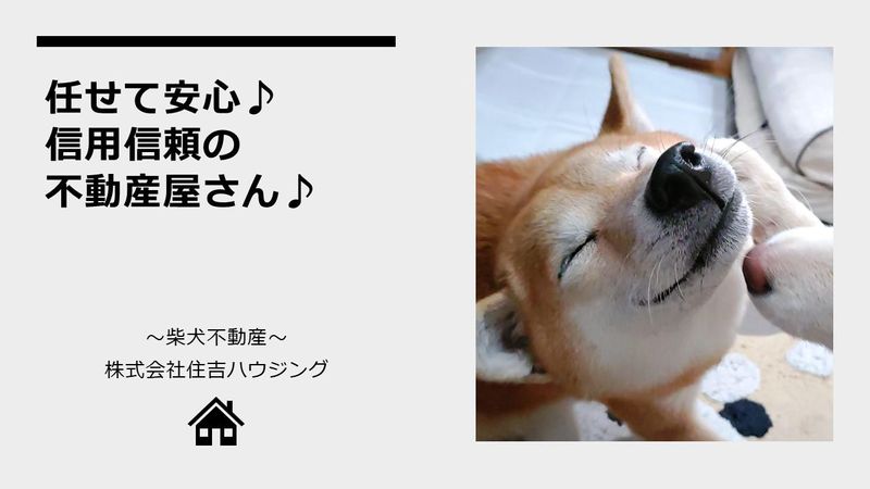 株式会社住吉ハウジングの求人・転職情報