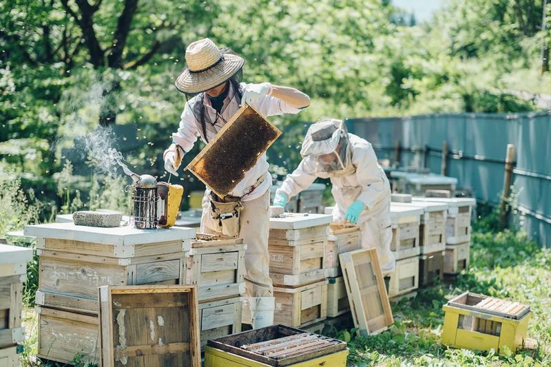 金澤やまぎし養蜂場株式会社のアルバイト・バイト求人情報-02