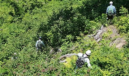 株式会社みすず綜合コンサルタントのアルバイト・バイト求人情報-02