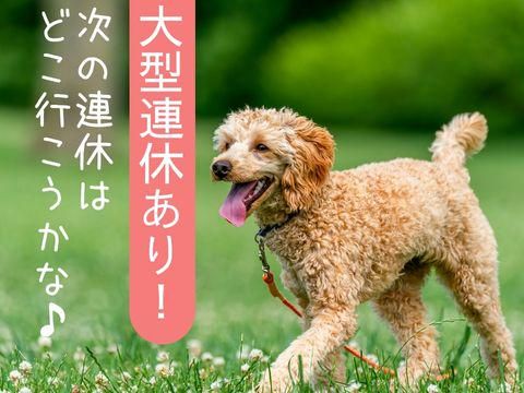 株式会社ホットスタッフ安芸(102)のアルバイト・バイト求人情報-03