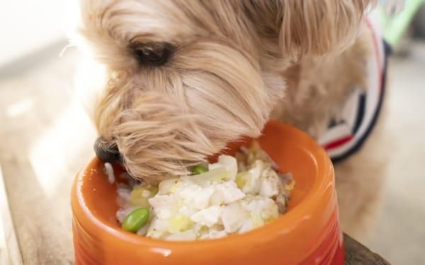 株式会社ローズマリーの求人・転職情報