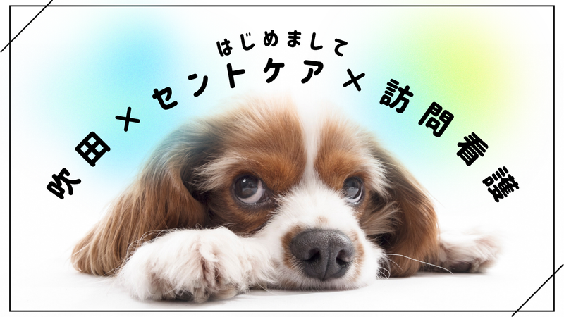 セントケア西日本株式会社の求人・転職情報
