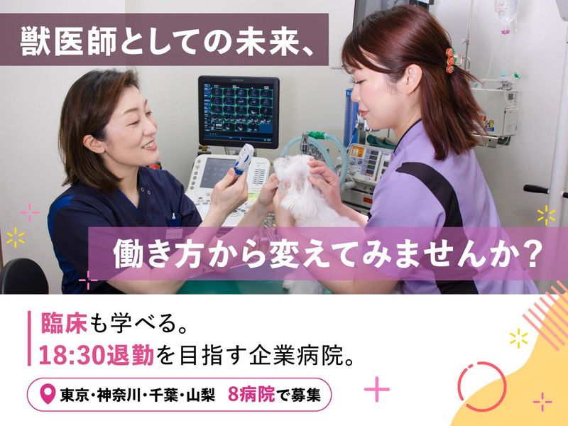 株式会社ジャパンペットコミュニケーションズの求人・転職情報